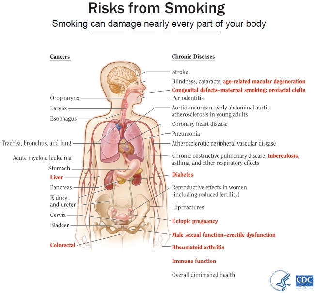 electronic cigarette korea South Korea Tobacco launches two new Vapor Stick flavors for $3 - Knowledge