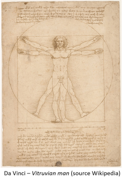 EN vitruviano